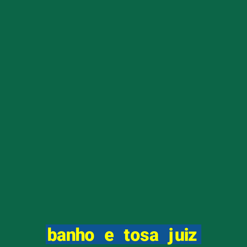 banho e tosa juiz de fora